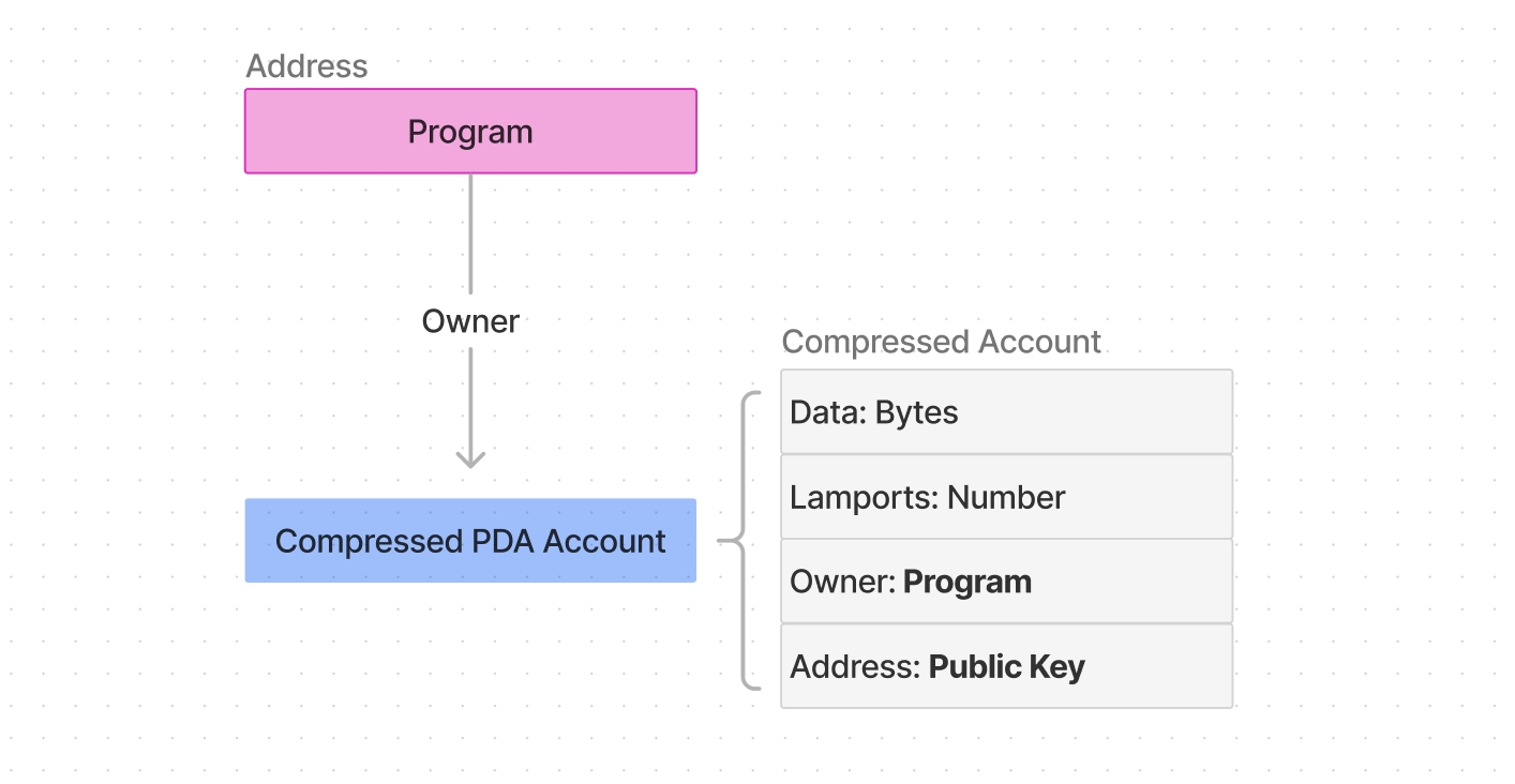 A diagram illustrating the structure of a compressed account in the Light Protocol system. The compressed account is owned by a program and is associated with a compressed PDA (Program Derived Address) account. The compressed account contains data bytes, lamports (account balance), an owner (the program that owns the account), and an address (represented as a public key). The owner of the compressed account has the authority to modify its data and transfer lamports from it. The compressed account is identified by its unique hash, which changes with each write operation. An address can be optionally set as a permanent unique identifier for the compressed account. Compressed accounts are stored in sparse Merkle trees, with only the trees' sparse state structure and roots stored in the on-chain account space, while the underlying data is stored off-chain.