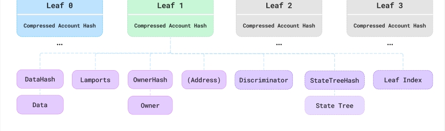 Here's an alt text for this image: "Diagram showing the compressed account data structure within leaves of a Merkle tree. Four leaf nodes (Leaf 0, Leaf 1, Leaf 2, Leaf 3) are displayed at the top, each containing 'Compressed Account Hash'. Below this, the data structure is broken down into components: Datahash, Lamports, OwnerHash, Address, Discriminator, StateTreeHash, and Leaf_Index in the top row, with Data, Owner, and State Tree shown in the bottom row. Leaf 1 is highlighted in green. The diagram illustrates how compressed account data is organized within the Merkle tree structure."