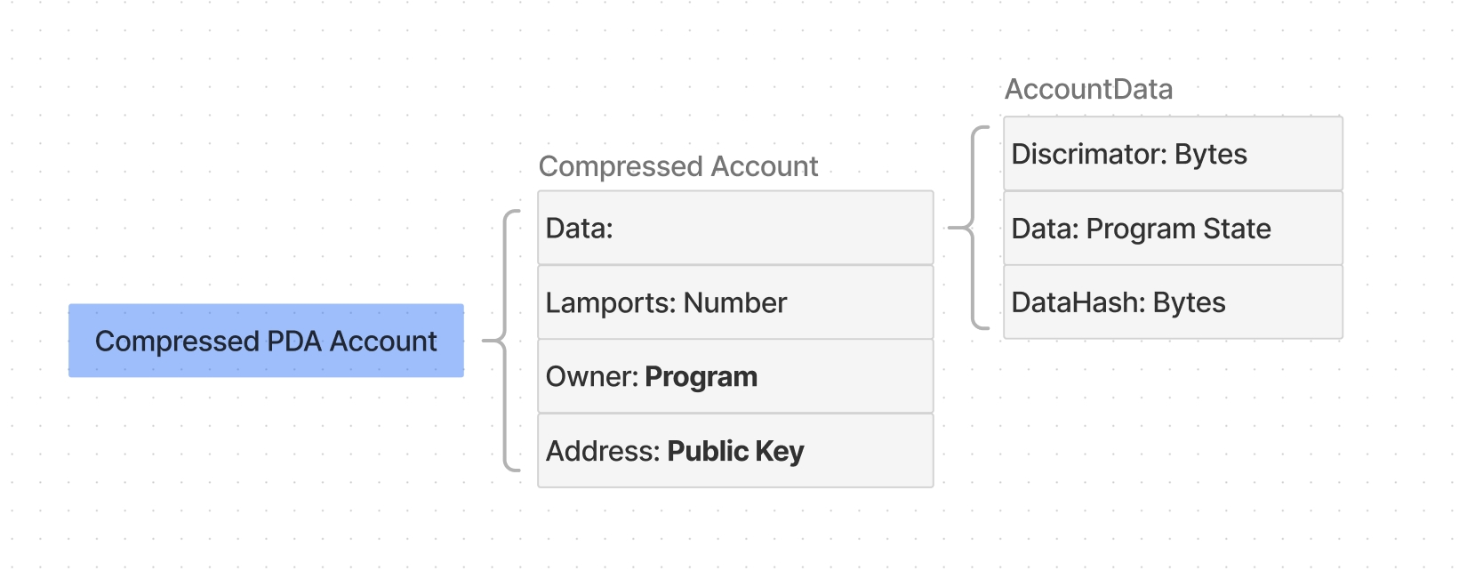 A diagram depicting the structure of a compressed PDA (Program Derived Address) account in the Light Protocol system. The compressed PDA account consists of a data field, which stores program-owned state, lamports (account balance), an owner field indicating the program that owns the account, and an address field represented as a public key. The AccountData structure within the compressed PDA account is composed of a discriminator (a unique identifier for the account type), the actual data (program state), and a DataHash (a hash of the account data). This AccountData structure is specific to the Light Protocol and differs from Solana's regular account data field.